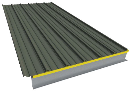 Panel Rib™ Roof